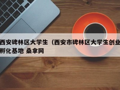 深圳西安碑林区大学生（西安市碑林区大学生创业孵化基地 桑拿网