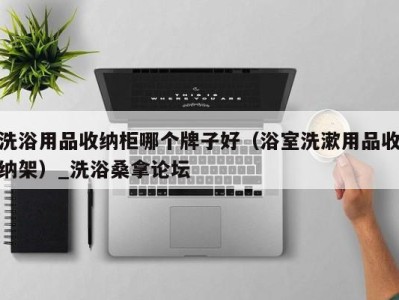 深圳洗浴用品收纳柜哪个牌子好（浴室洗漱用品收纳架）_洗浴桑拿论坛