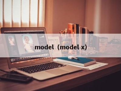 深圳model（model x）